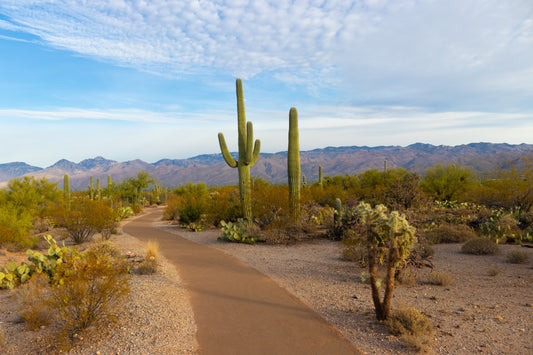 eBiking the Desert of Tucson, Arizona