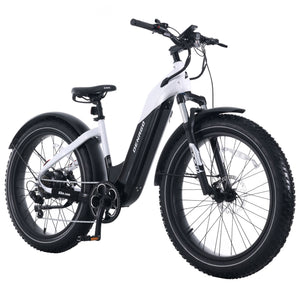 Denago Fat Tire Step-thru eBike