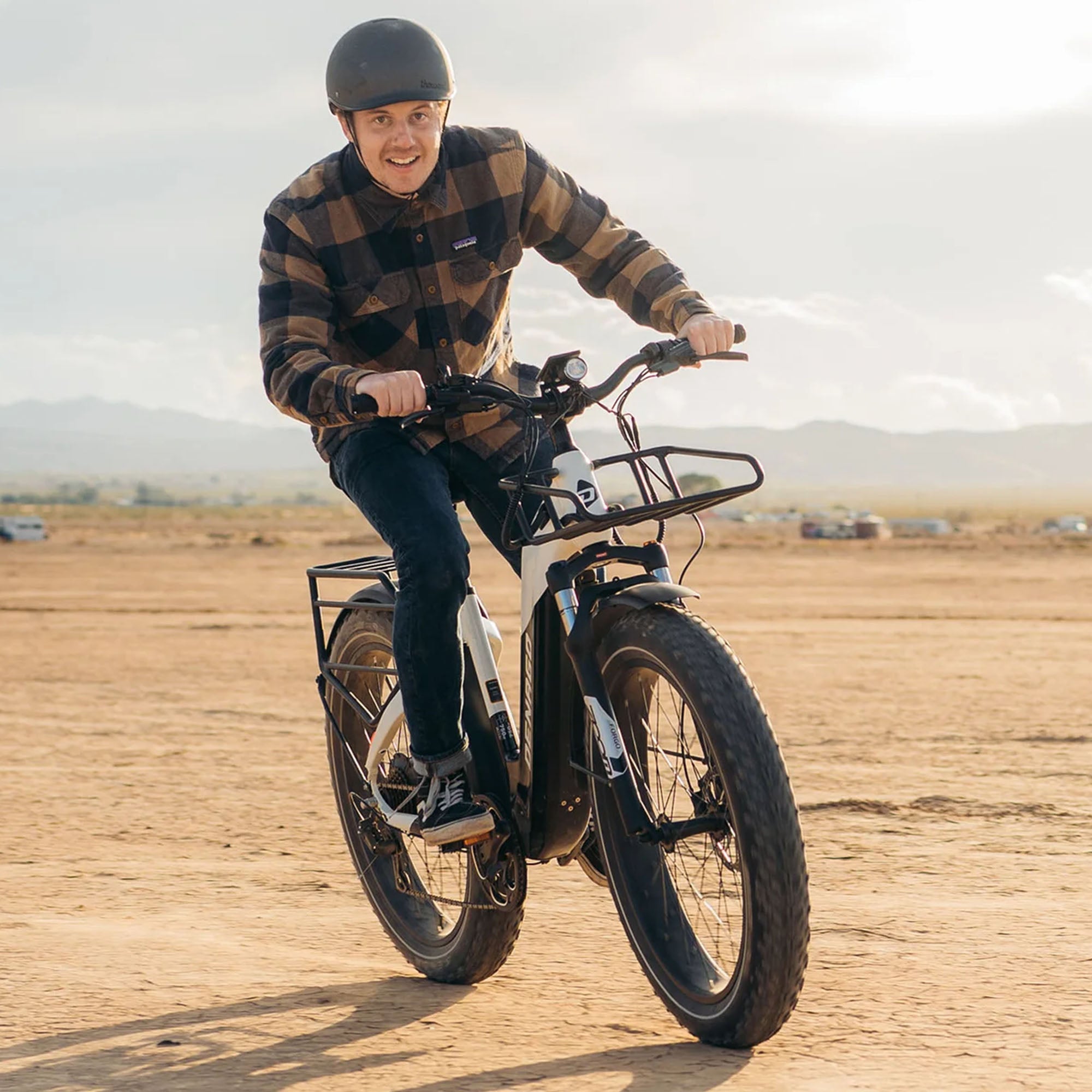 Denago Fat Tire Step-thru eBike