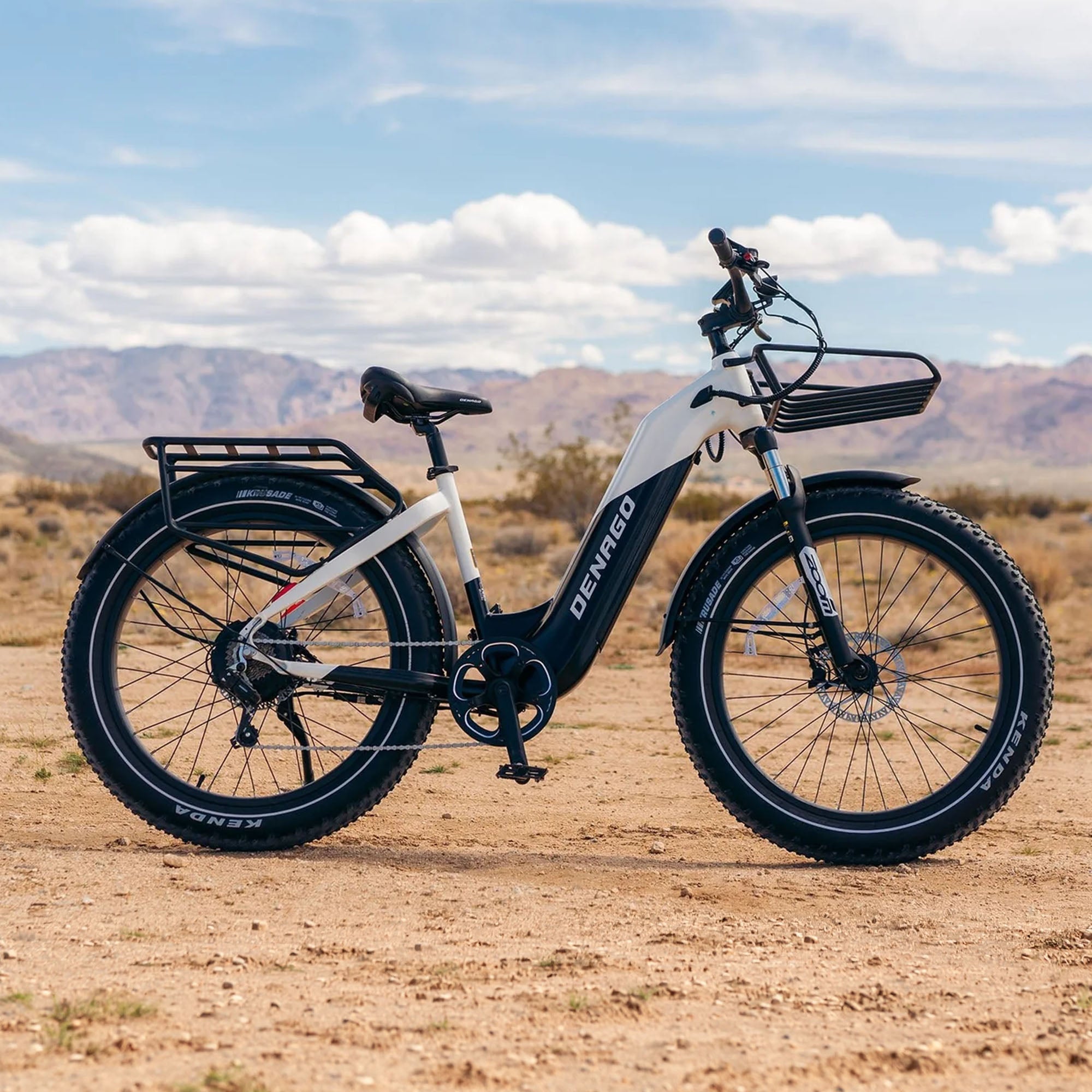 Denago Fat Tire Step-thru eBike
