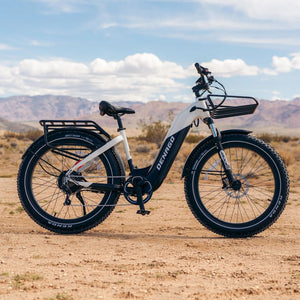 Denago Fat Tire Step-thru eBike