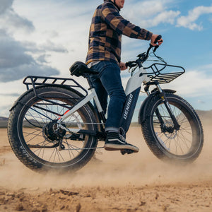 Denago Fat Tire Step-thru eBike