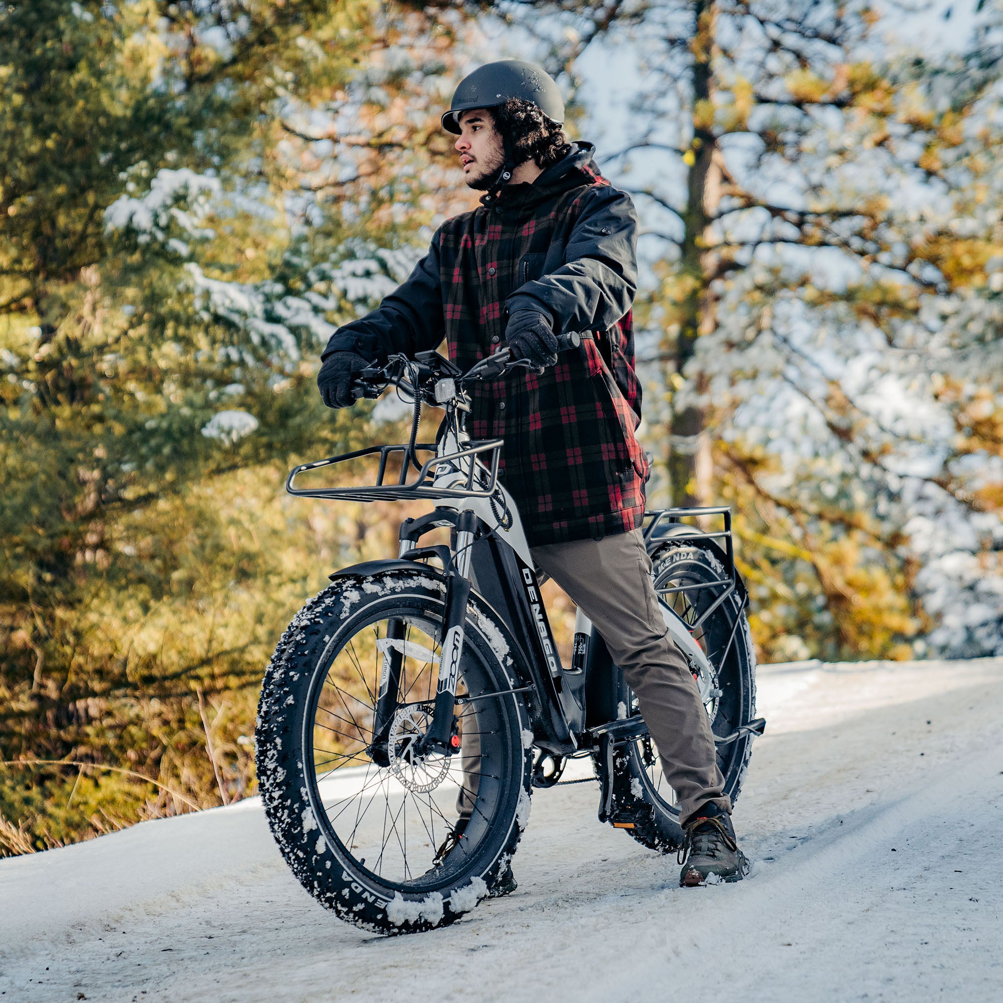 Denago Fat Tire Step-thru eBike