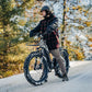 Denago Fat Tire Step-thru eBike