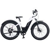Denago Fat Tire Step-thru eBike