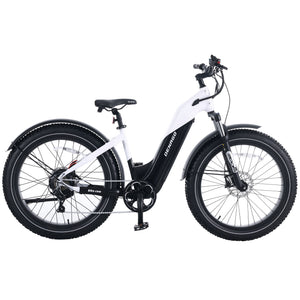 Denago Fat Tire Step-thru eBike