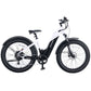 Denago Fat Tire Step-thru eBike