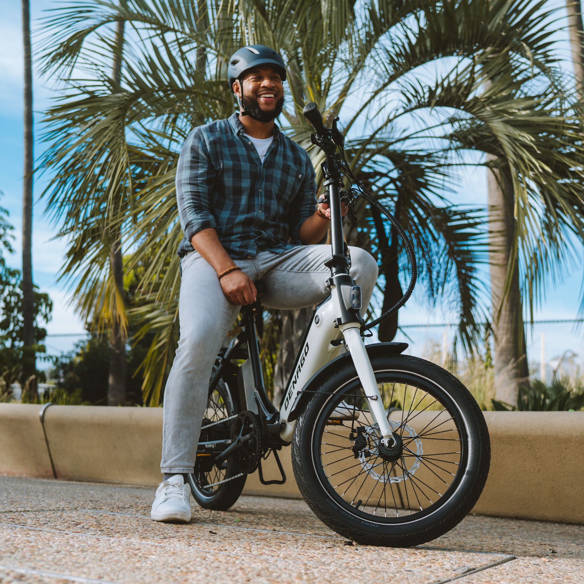 Denago Folding 1 eBike