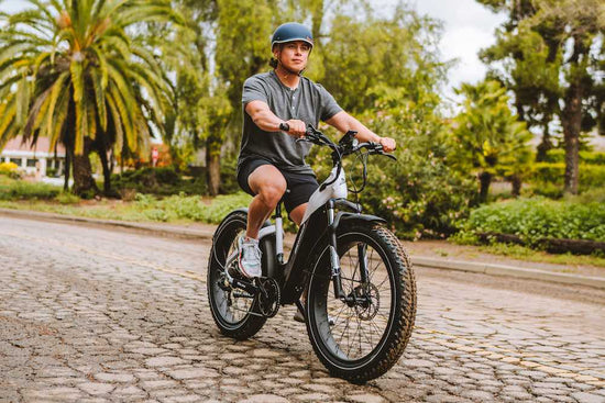 Denago Fat Tire Step-thru eBike, Fat Tire Electric Bike