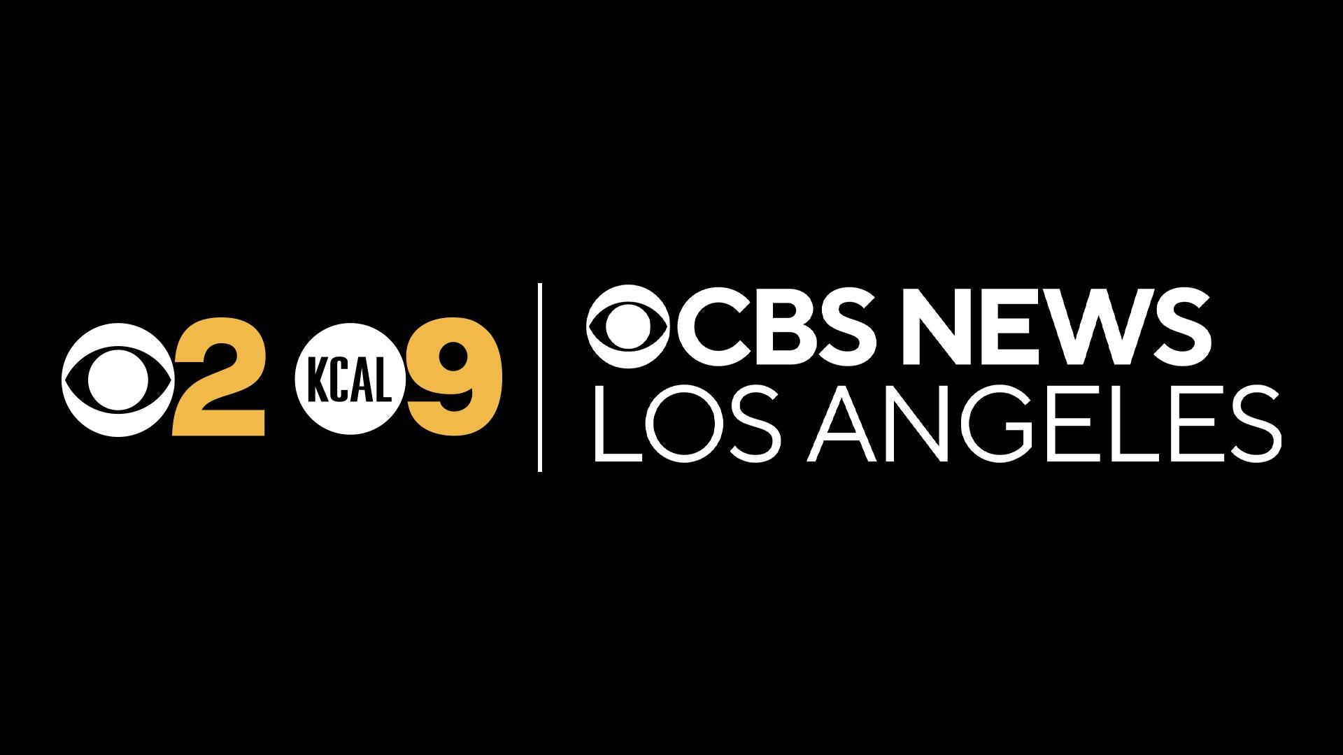 Bike.com on CBS 2 Los Angeles