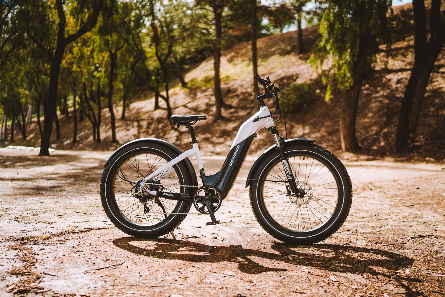 Denago Fat Model 1 eBike parked on the trail at the Fullerton Loop