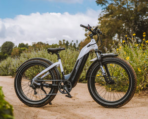 A Denago Fat Model 1 eBike with sunflowers on a cloudy day